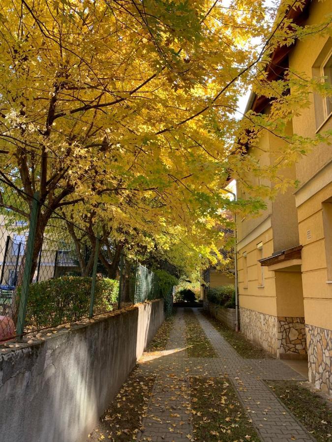 Langman Guesthouse Budapest Exterior foto